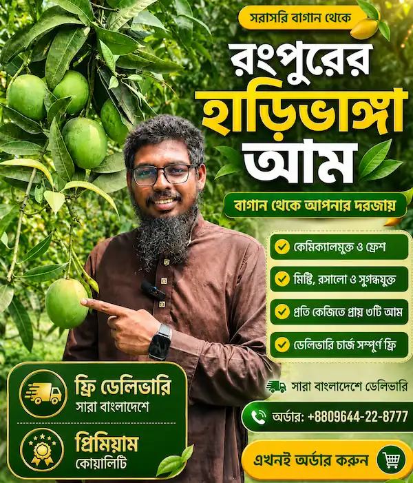 রংপুরের বিখ্যাত হাড়িভাঙ্গা আম (কেমিক্যালমুক্ত) | Haribhanga Mango — Rangpur